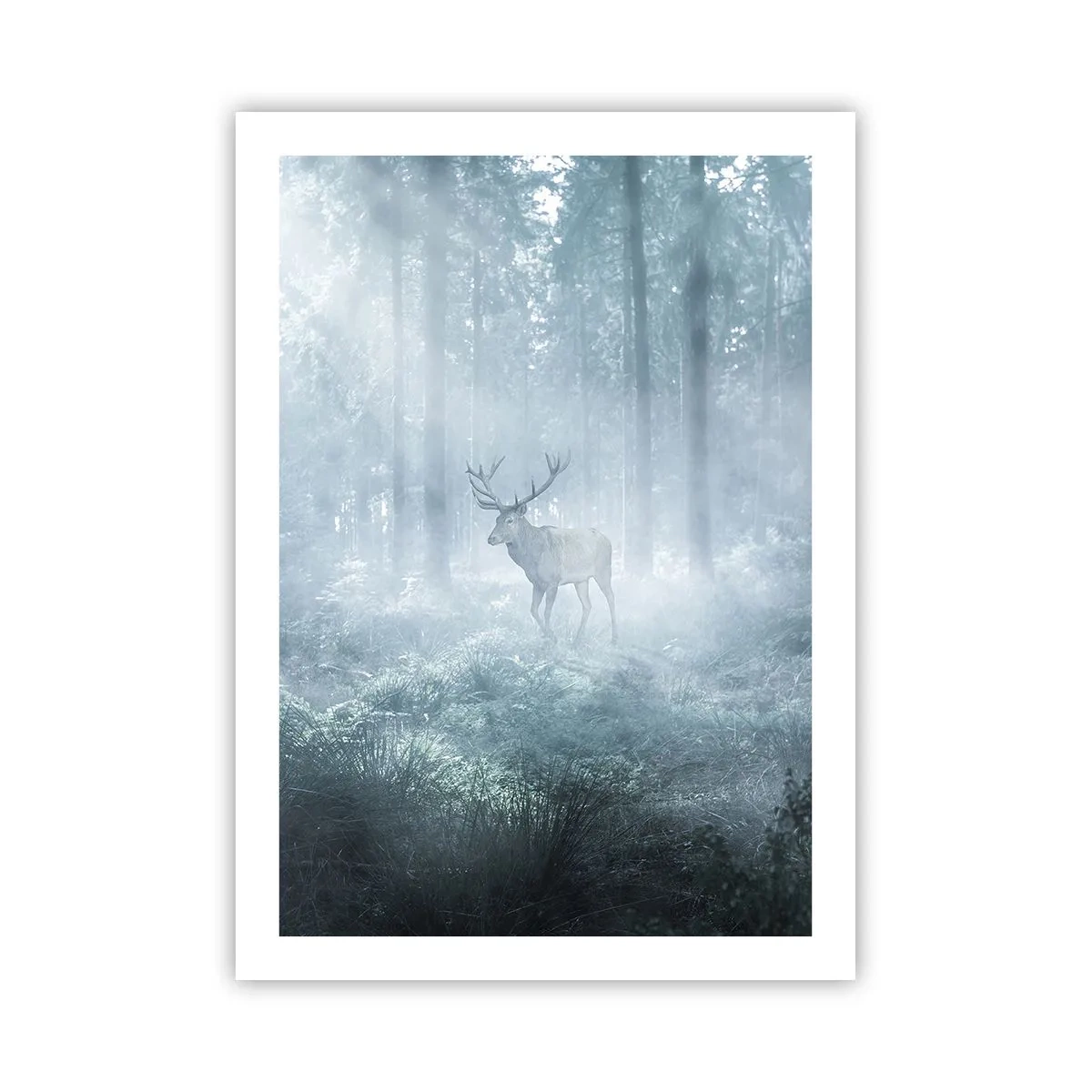 Póster - Ciervos en la niebla matutina en el bosque. - 50x70cm - Ronda matutina por la finca - Decoración de pared moderna para salón y dormitorio ARTTOR