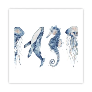 Póster - Fauna marina - 50x50 cm