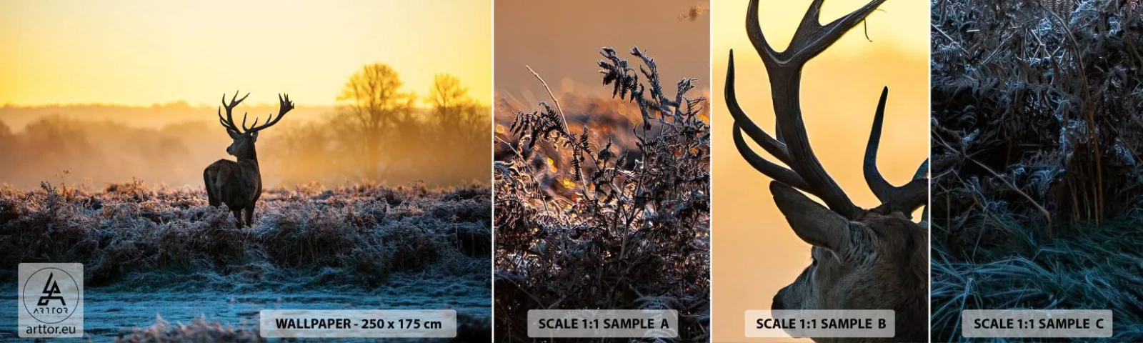 Muestra de fotomural autoadhesivo Deluxe Sticker - Coronado en sus propios dominios - Paisaje, animales, Ciervo - 100x30 cm