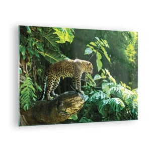 Cuadro sobre vidrio - Impresiones sobre Vidrio - Leopardo en una roca en la selva tropical - 70x50cm - ¿A la caza? - Decoración de pared moderna para salón y dormitorio ARTTOR