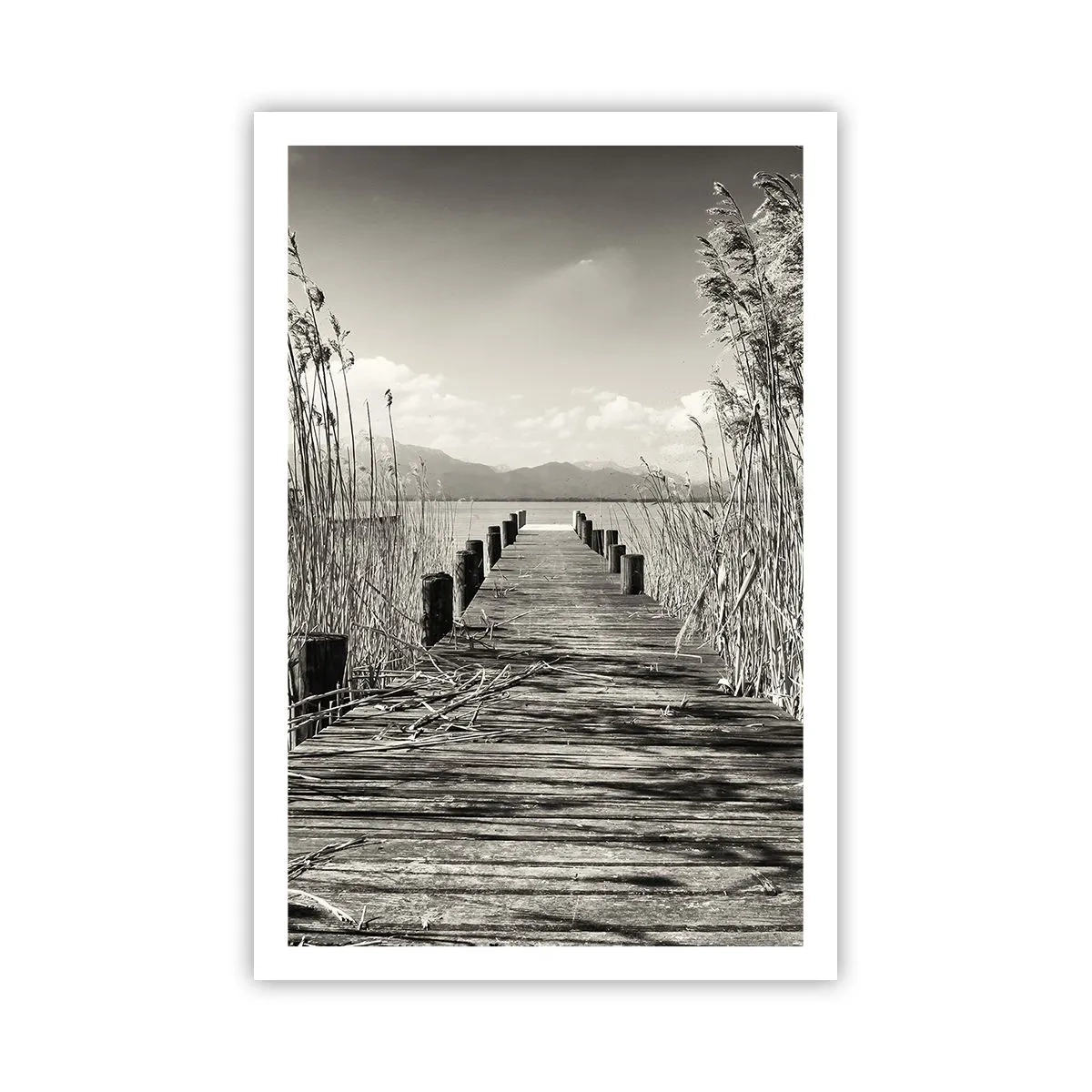 Póster - En la quietud de los juncos - 61x91 cm