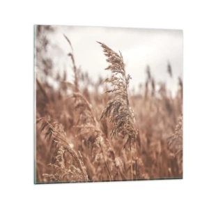 Cuadro sobre vidrio - Impresiones sobre Vidrio - El otoño ya está en los campos - 30x30 cm