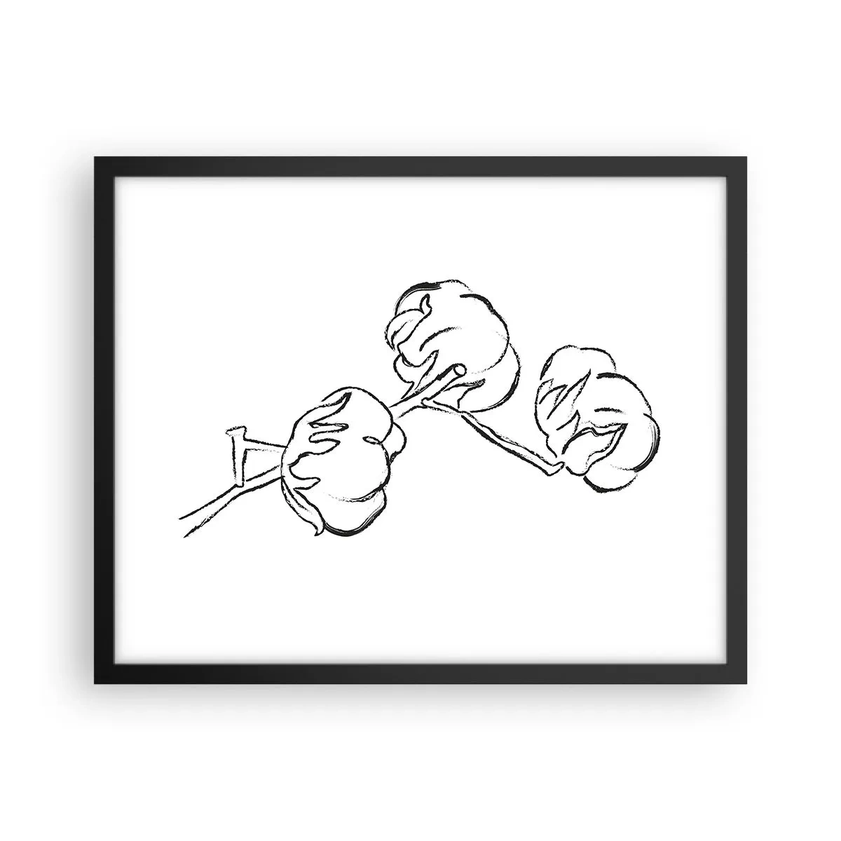 Póster en marco negro - Plumón de algodón - 50x40 cm