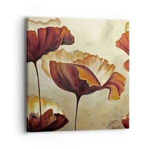 Cuadro sobre lienzo - Impresión de Imagen - Prado de prados - 40x40 cm