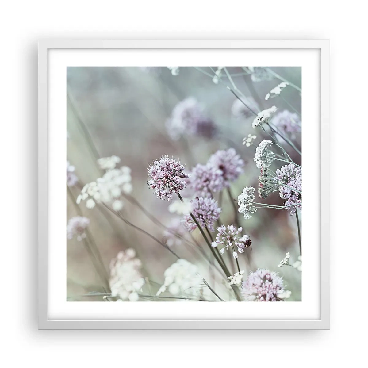 Póster en marco blanco - Dulces filigranas de hierbas - 50x50 cm