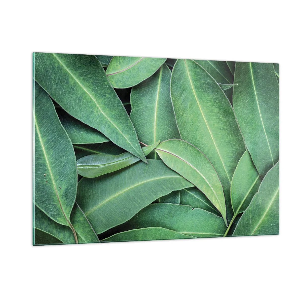 Cuadro sobre vidrio - Impresiones sobre Vidrio - Primer plano de hojas verdes dispuestas en capas. - 120x80cm - Jugosidad y frescura - Decoración de pared moderna para salón y dormitorio ARTTOR