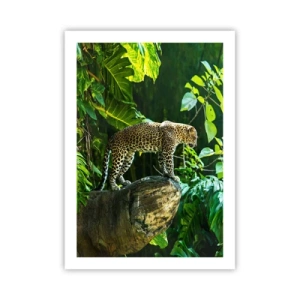 Póster - Un leopardo de pie sobre una roca en un bosque tropical. - 50x70cm - ¿A la caza? - Decoración de pared moderna para salón y dormitorio ARTTOR