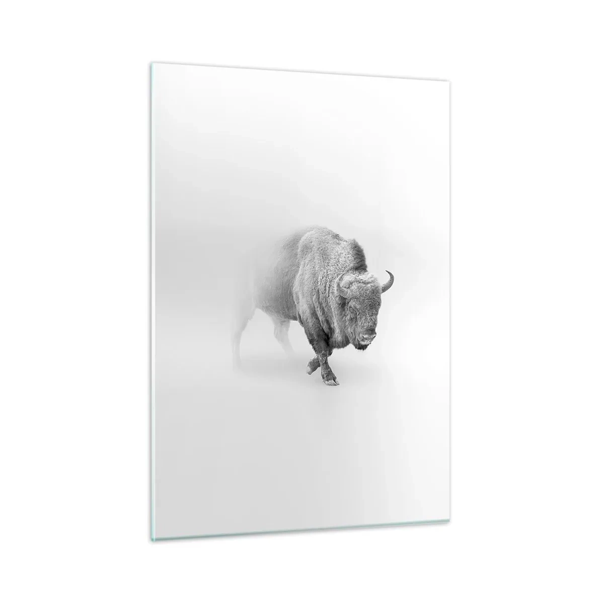 Cuadro sobre vidrio - Impresiones sobre Vidrio - Ilustración en blanco y negro de un majestuoso bisonte. - 50x70cm - Rey de la pradera - Decoración de pared moderna para salón y dormitorio ARTTOR