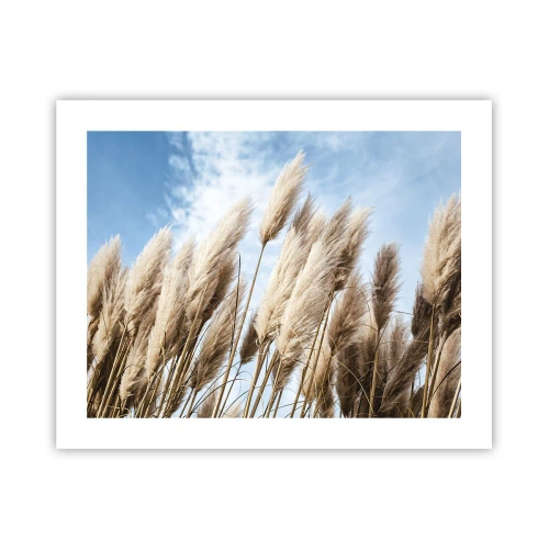 Póster - Una caricia soleada y ventosa - 50x40 cm