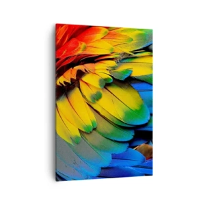 Cuadro sobre lienzo - Impresión de Imagen - Un primer plano de las coloridas plumas de un loro. - 70x100cm - Ave del paraíso - Decoración de pared moderna para salón y dormitorio ARTTOR