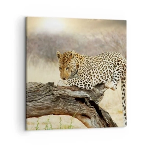 Cuadro sobre lienzo - Impresión de Imagen - Voy por mi cuenta - 50x50 cm