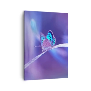 Cuadro sobre lienzo - Impresión de Imagen - Una delicada mariposa azul sobre un tallo en luz violeta. - 50x70cm - Una joya de la naturaleza - Decoración de pared moderna para salón y dormitorio ARTTOR