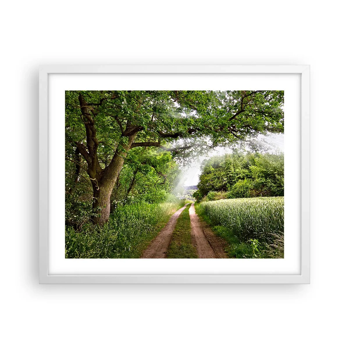 Póster en marco blanco - Ensueño - 50x40 cm