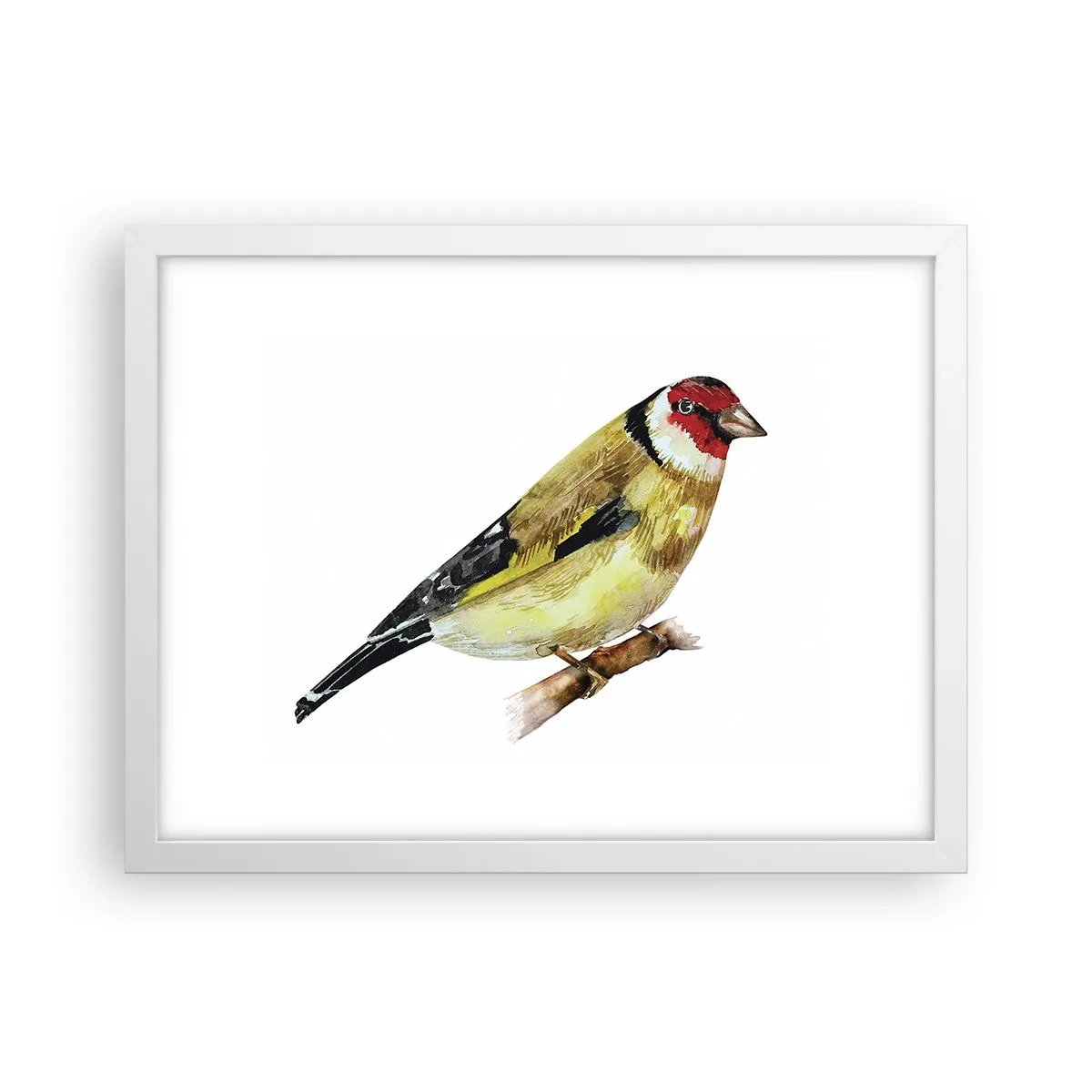 Póster en marco blanco - Retrato de pájaro - 40x30 cm