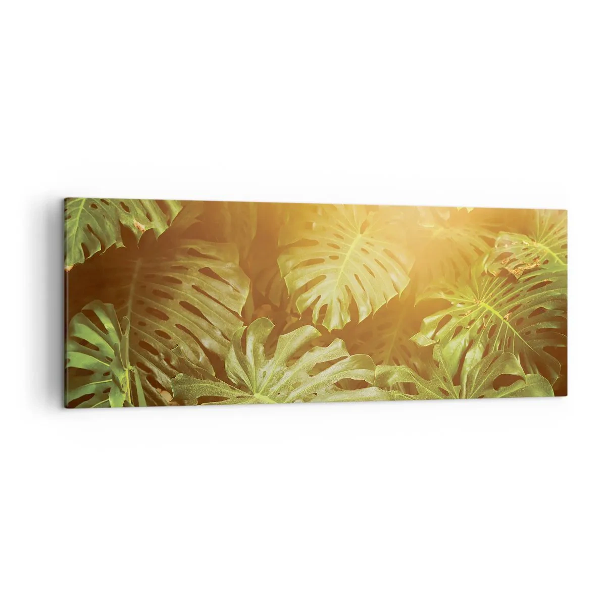 Cuadro sobre lienzo - Impresión de Imagen - Hojas de monstera a la luz del sol sobre un fondo natural. - 140x50cm - Hacia el verdor... - Decoración de pared moderna para salón y dormitorio ARTTOR