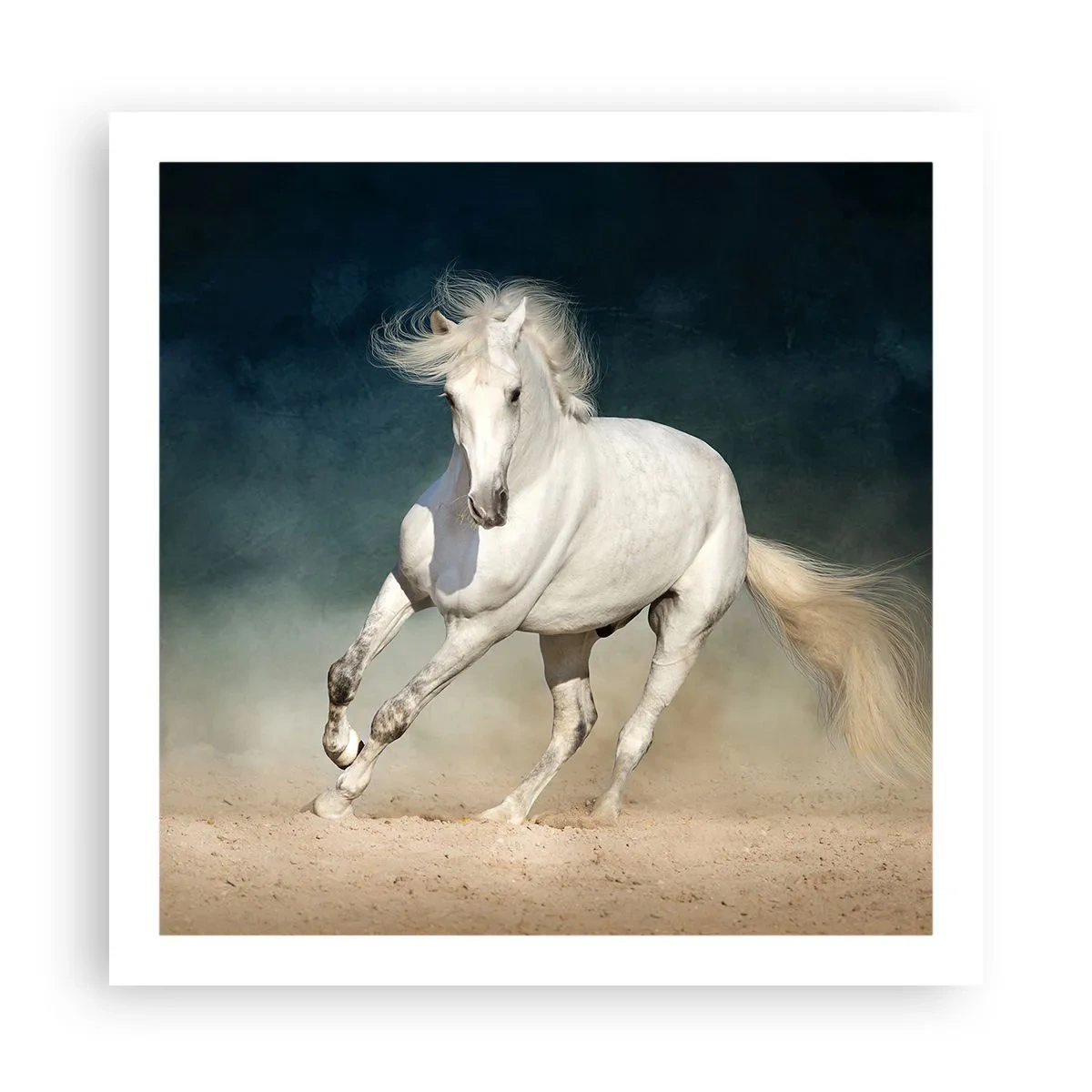 Póster - Libertad en estado puro - 60x60 cm