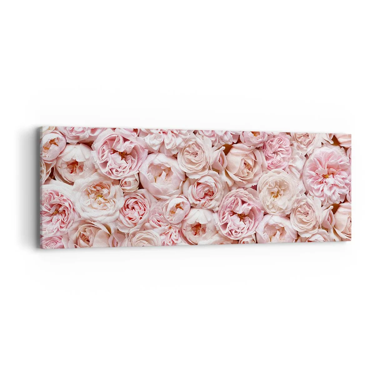 Cuadro sobre lienzo - Impresión de Imagen - Salpicado de rosas - 90x30 cm