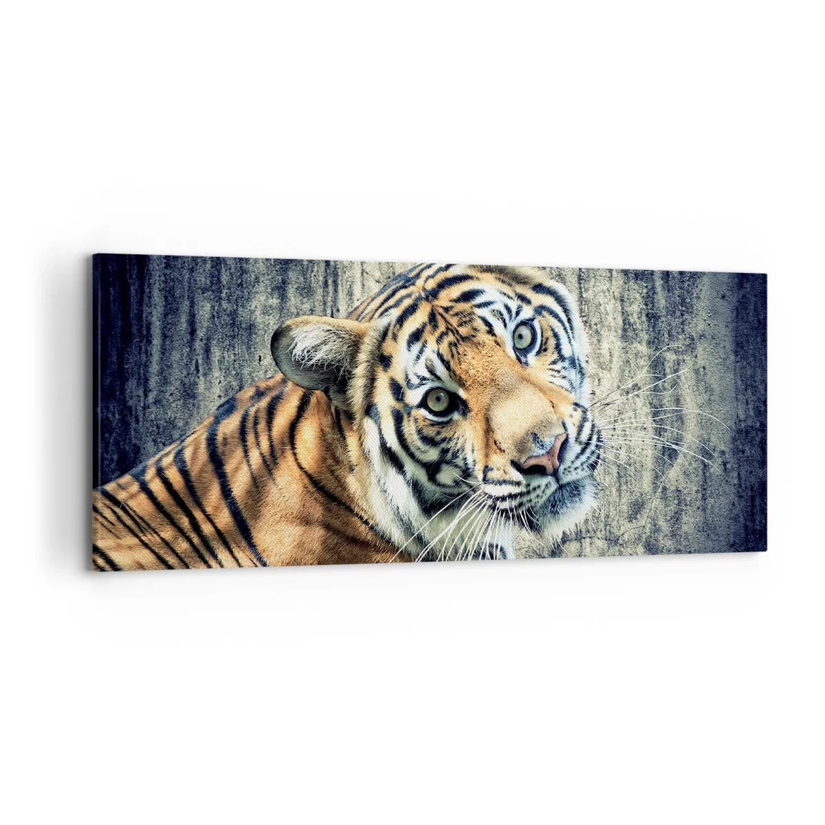 Cuadro sobre lienzo - Impresión de Imagen - Un tigre recostado contra una pared de textura rugosa. - 120x50cm - Retrato en corrientes de luz - Decoración de pared moderna para salón y dormitorio ARTTOR
