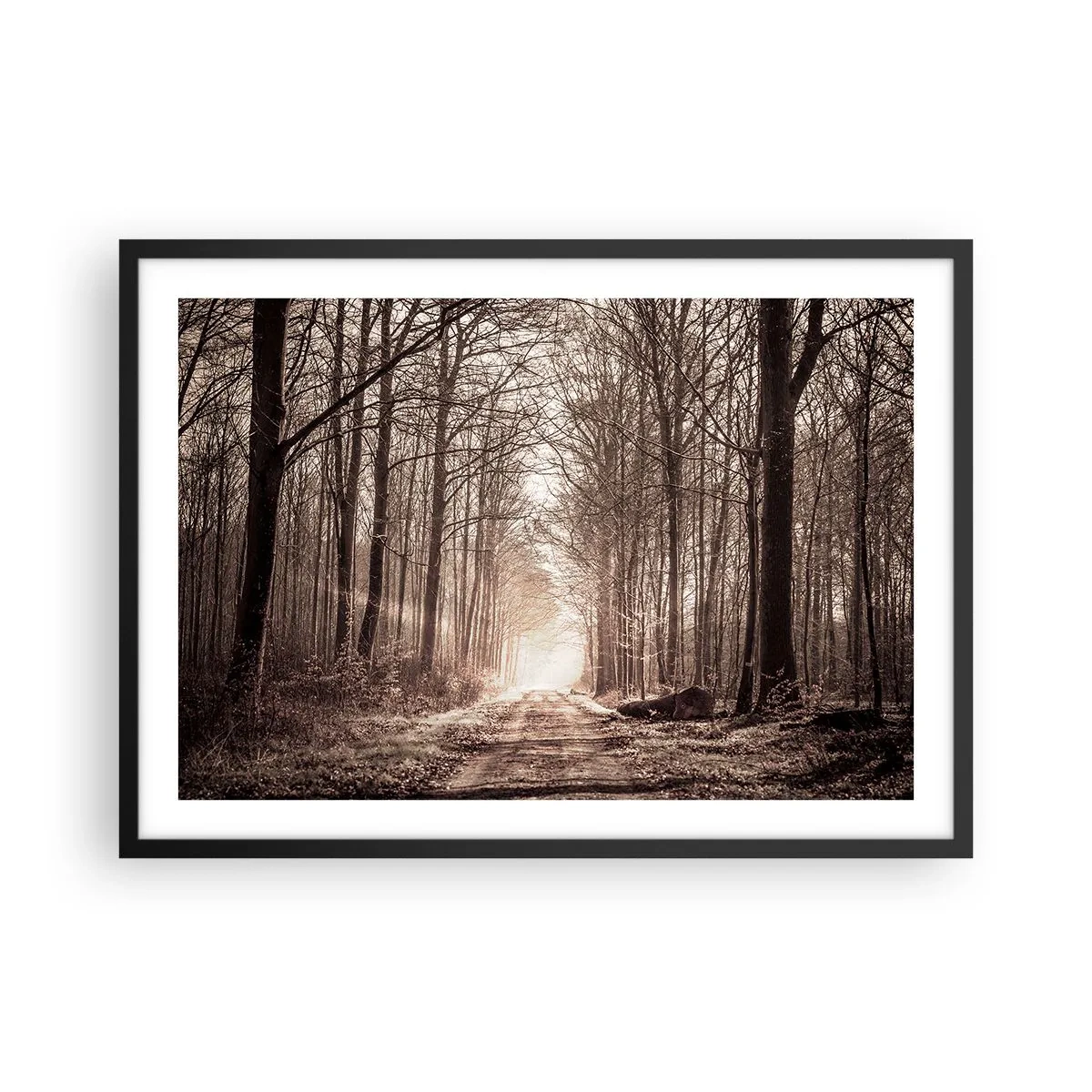Póster en marco negro - Un sendero forestal entre árboles en tonos sepia. - 70x50cm - La catedral del bosque - Decoración de pared moderna para salón y dormitorio ARTTOR