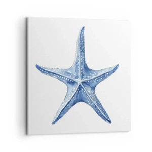Cuadro sobre lienzo - Impresión de Imagen - Estrella de mar - 60x60 cm