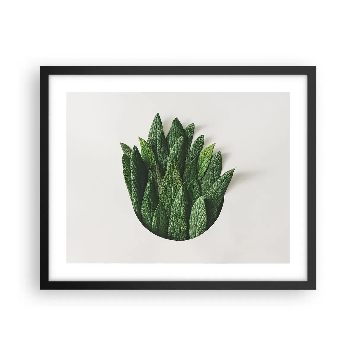 Póster en marco negro - Curiosidad desenfrenada - 50x40 cm