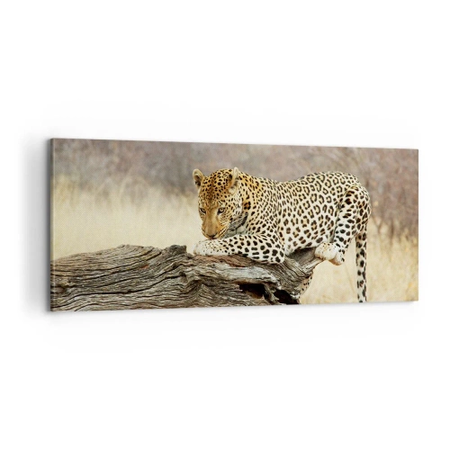 Cuadro sobre lienzo - Impresión de Imagen - Voy por mi cuenta - 100x40 cm
