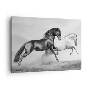 Cuadro sobre lienzo - Impresión de Imagen - Dos caballos al galope en una composición dinámica en blanco y negro - 70x50cm - Ángeles y demonios - Decoración de pared moderna para salón y dormitorio ARTTOR