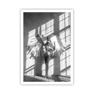 Póster - Directamente desde el cielo - 70x100 cm