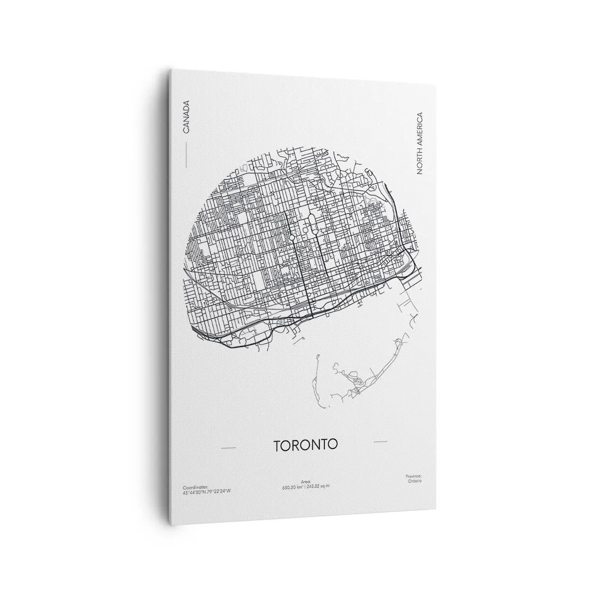 Cuadro sobre lienzo - Impresión de Imagen - Un mapa de Toronto en un estilo minimalista en blanco y negro - 80x120cm - Anatomía de Toronto - Decoración de pared moderna para salón y dormitorio ARTTOR