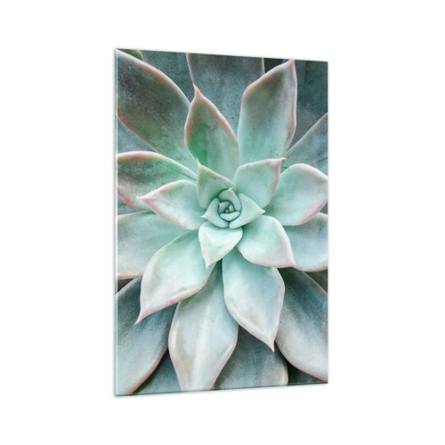 Cuadro sobre vidrio - Impresiones sobre Vidrio - Primer plano de una suculenta verde - 70x100cm - El corazón del desierto - Decoración de pared moderna para salón y dormitorio ARTTOR