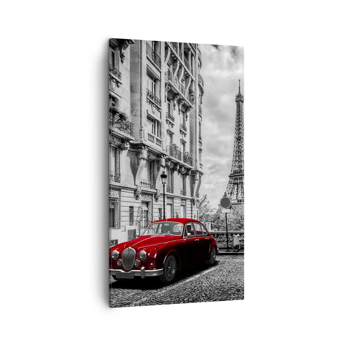 Cuadro sobre lienzo - Impresión de Imagen - Un depredador en la ciudad - 45x80 cm