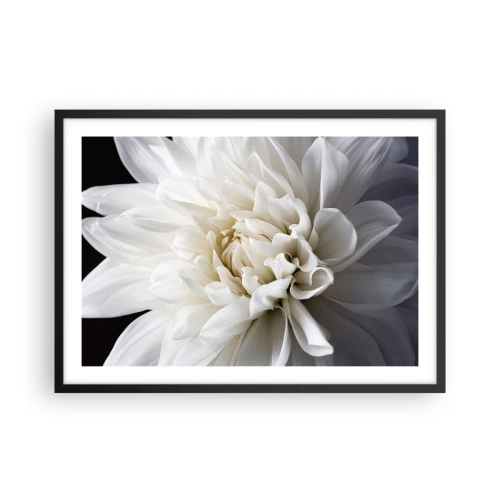 Póster en marco negro - Una delicada flor blanca sobre un fondo negro en una elegante composición. - 70x50cm - La novia de la mañana - Decoración de pared moderna para salón y dormitorio ARTTOR
