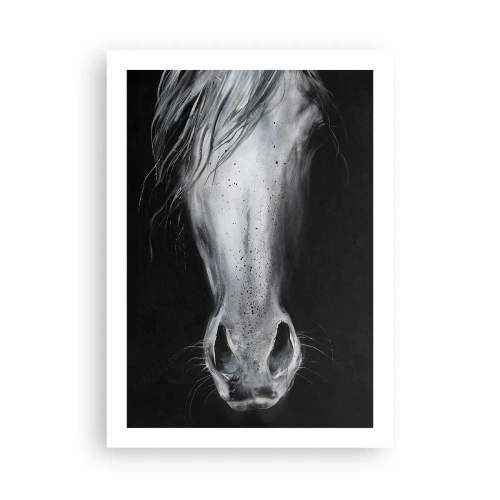 Póster - Primer plano de la cara de un caballo en blanco y negro. - 50x70cm - Mirada seductora - Decoración de pared moderna para salón y dormitorio ARTTOR