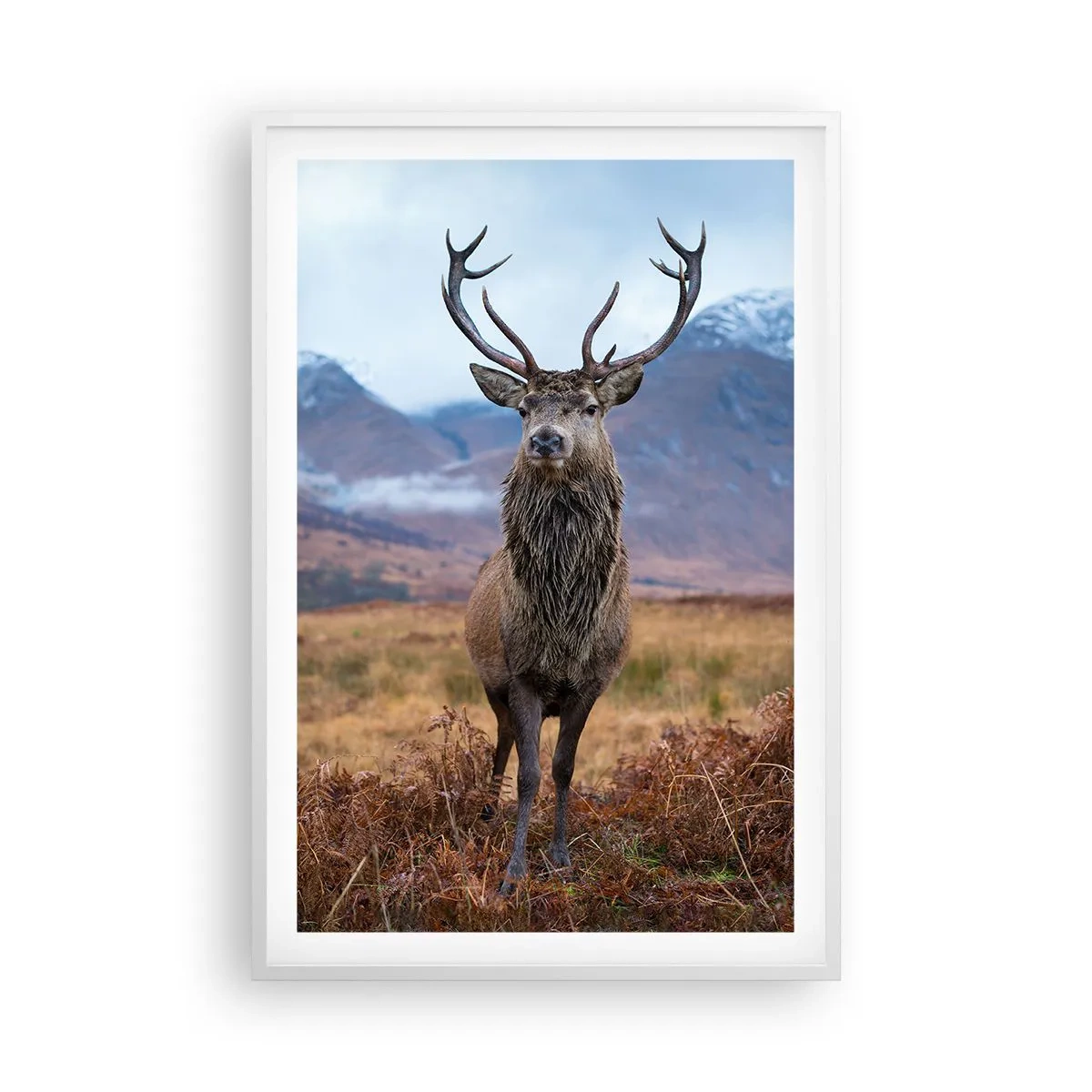 Póster en marco blanco - En mi propia tierra - 61x91 cm