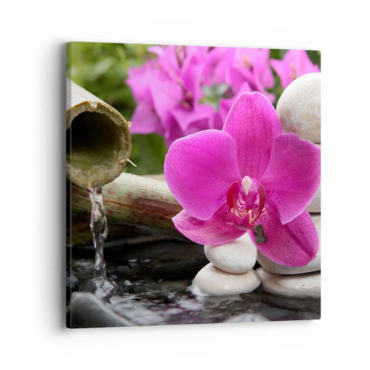 Cuadro sobre lienzo - Impresión de Imagen - Ya estás descansando - 40x40 cm