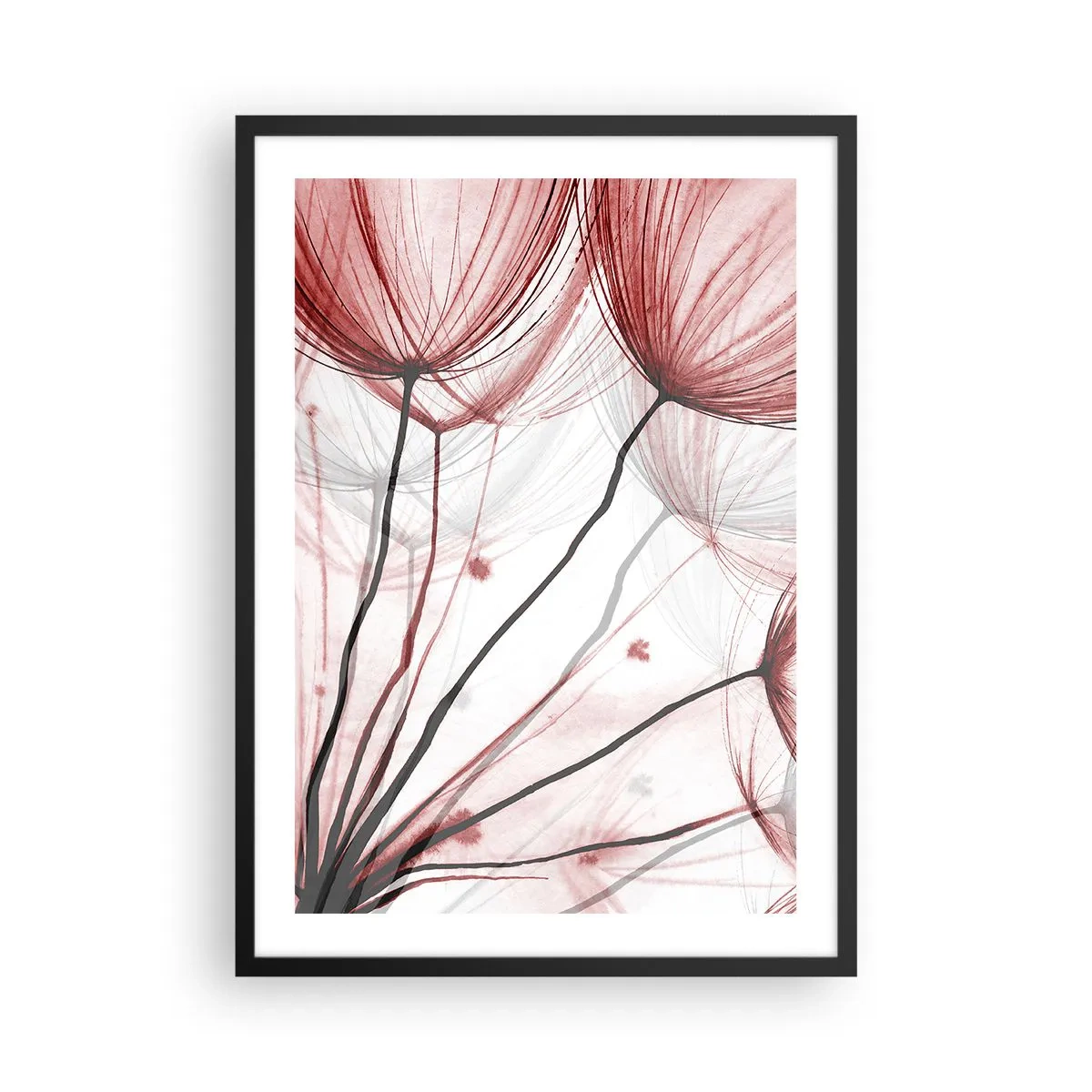 Póster en marco negro - Delicados dientes de león en tonos rojos y negros. - 50x70cm - Antes de partir - Decoración de pared moderna para salón y dormitorio ARTTOR