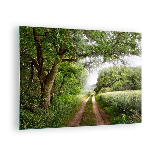 Cuadro sobre vidrio - Impresiones sobre Vidrio - Un camino forestal rodeado de vegetación bajo los rayos del sol. - 70x50cm - Ensueño - Decoración de pared moderna para salón y dormitorio ARTTOR