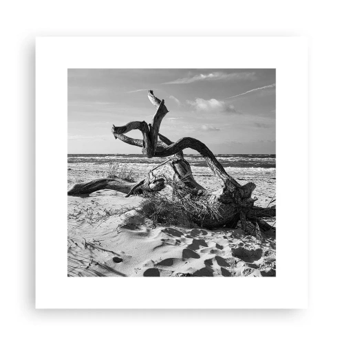 Póster - Escultura marina - 30x30 cm