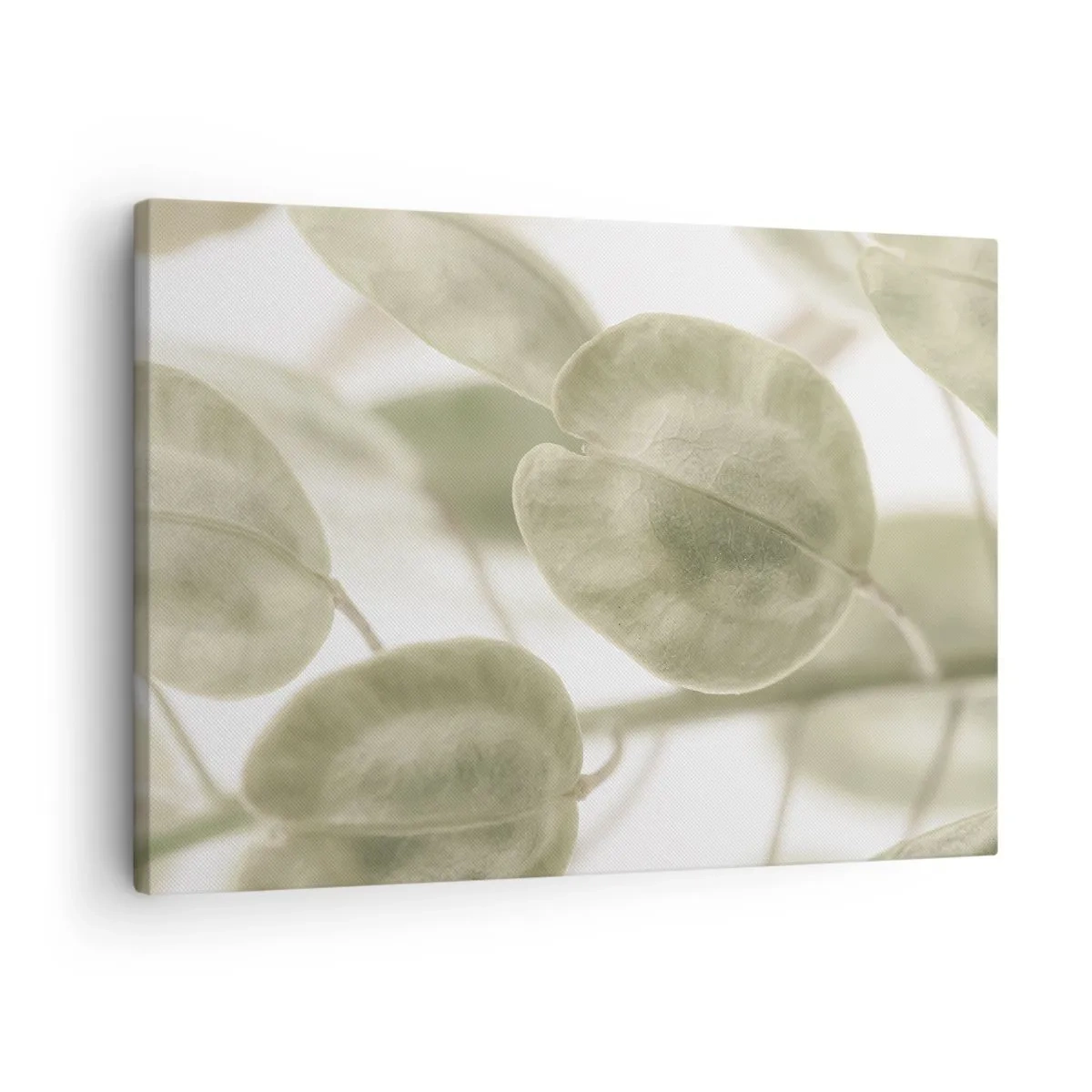 Cuadro sobre lienzo - Impresión de Imagen - Una delicada pintura de hojas en tonos pastel de verde sobre un fondo claro. - 70x50cm - Al principio de los tiempos había hojas... - Decoración de pared moderna para salón y dormitorio ARTTOR