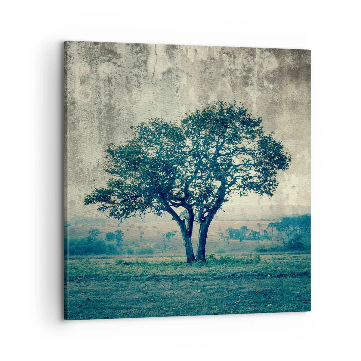 Cuadro sobre lienzo - Impresión de Imagen - El manzano - 60x60 cm