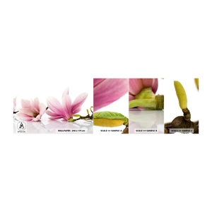 Muestra de fotomural autoadhesivo Deluxe Sticker - Suave como un soplo de primavera - Flor, Magnolia, Naturaleza - 100x30 cm