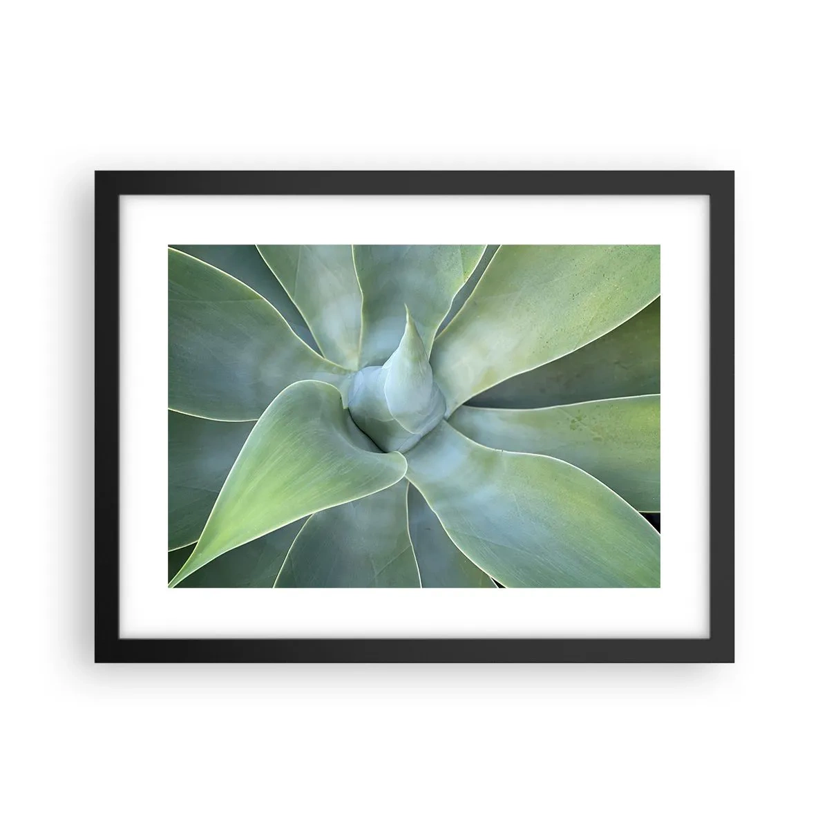 Póster en marco negro - El nacimiento del verde - 40x30 cm