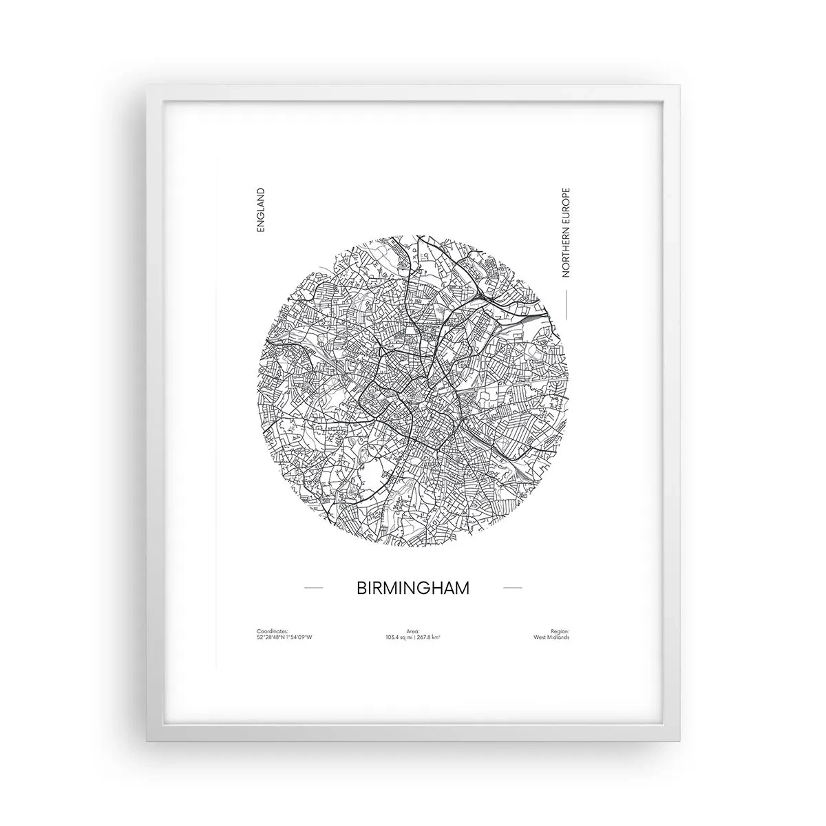 Póster en marco blanco - Anatomía de Birmingham - 40x50 cm