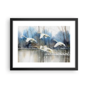 Póster en marco negro - Como en un cuento de cisnes salvajes - 40x30 cm