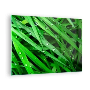 Cuadro sobre vidrio - Impresiones sobre Vidrio - Hojas verdes de hierba con gotas de rocío - 70x50cm - Jugar al verde - Decoración de pared moderna para salón y dormitorio ARTTOR