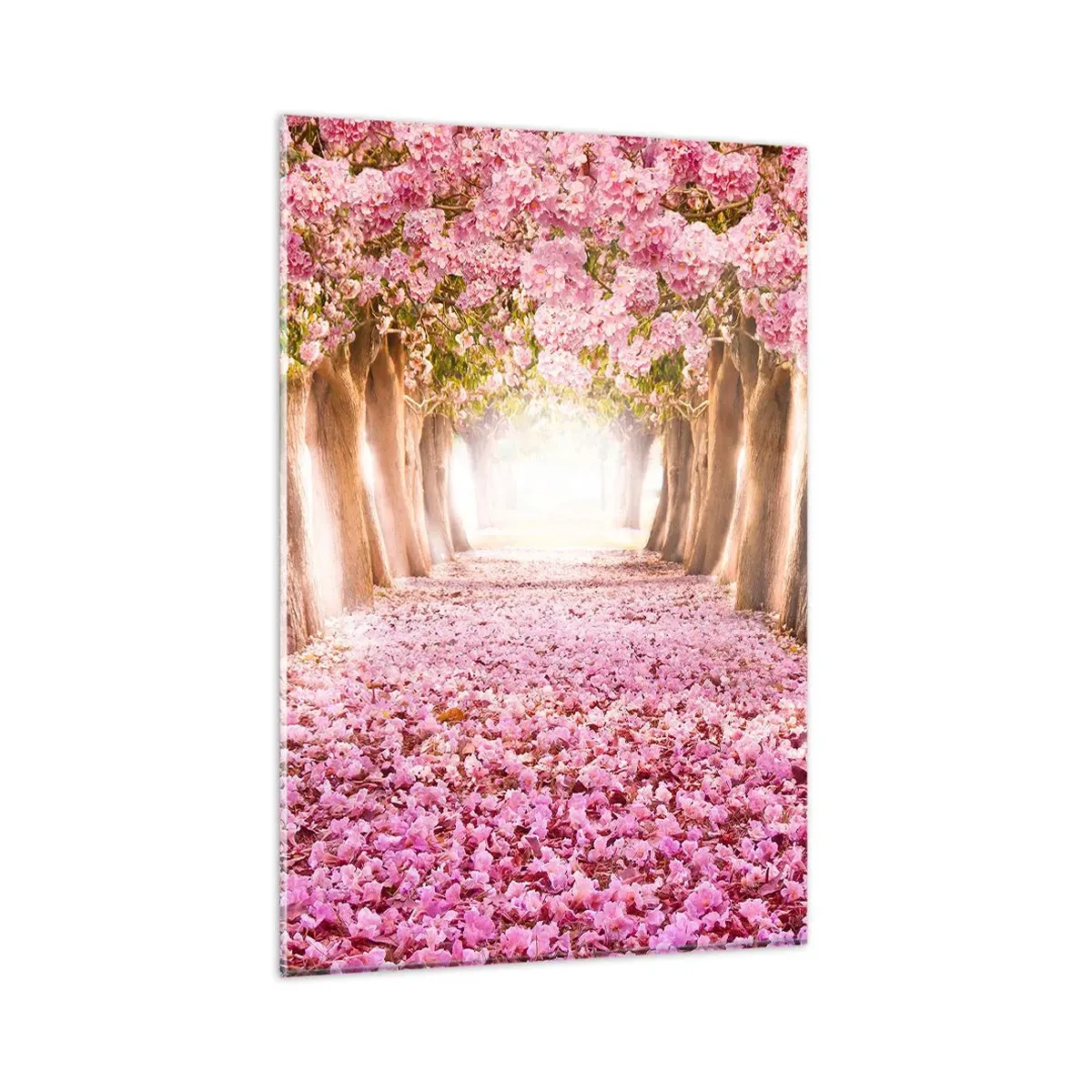 Cuadro sobre vidrio - Impresiones sobre Vidrio - Una avenida de árboles en flor en tonos rosa. - 80x120cm - El camino al paraíso - Decoración de pared moderna para salón y dormitorio ARTTOR