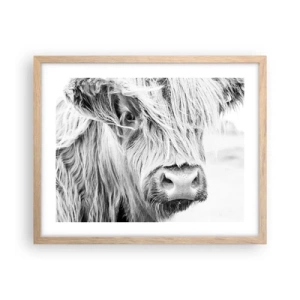 Póster en marco roble claro - La naturaleza escocesa - 50x40 cm