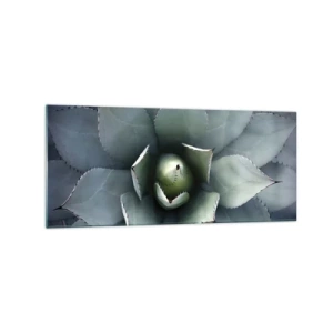 Cuadro sobre vidrio - Impresiones sobre Vidrio - Primer plano de una roseta de agave en delicados tonos verdes. - 120x50cm - Perfección natural - Decoración de pared moderna para salón y dormitorio ARTTOR
