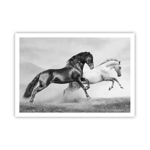 Póster - Dos caballos al galope en una composición dinámica en blanco y negro - 100x70cm - Ángeles y demonios - Decoración de pared moderna para salón y dormitorio ARTTOR