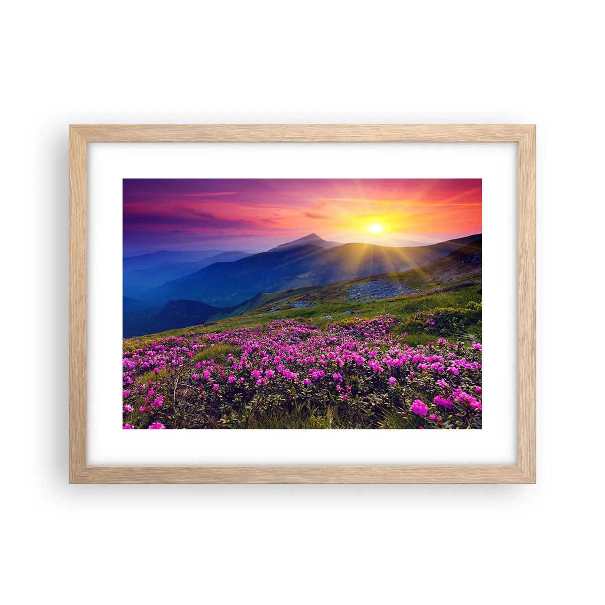 Póster en marco roble claro - ... Y el aroma a hierbas está por todas partes - 40x30 cm